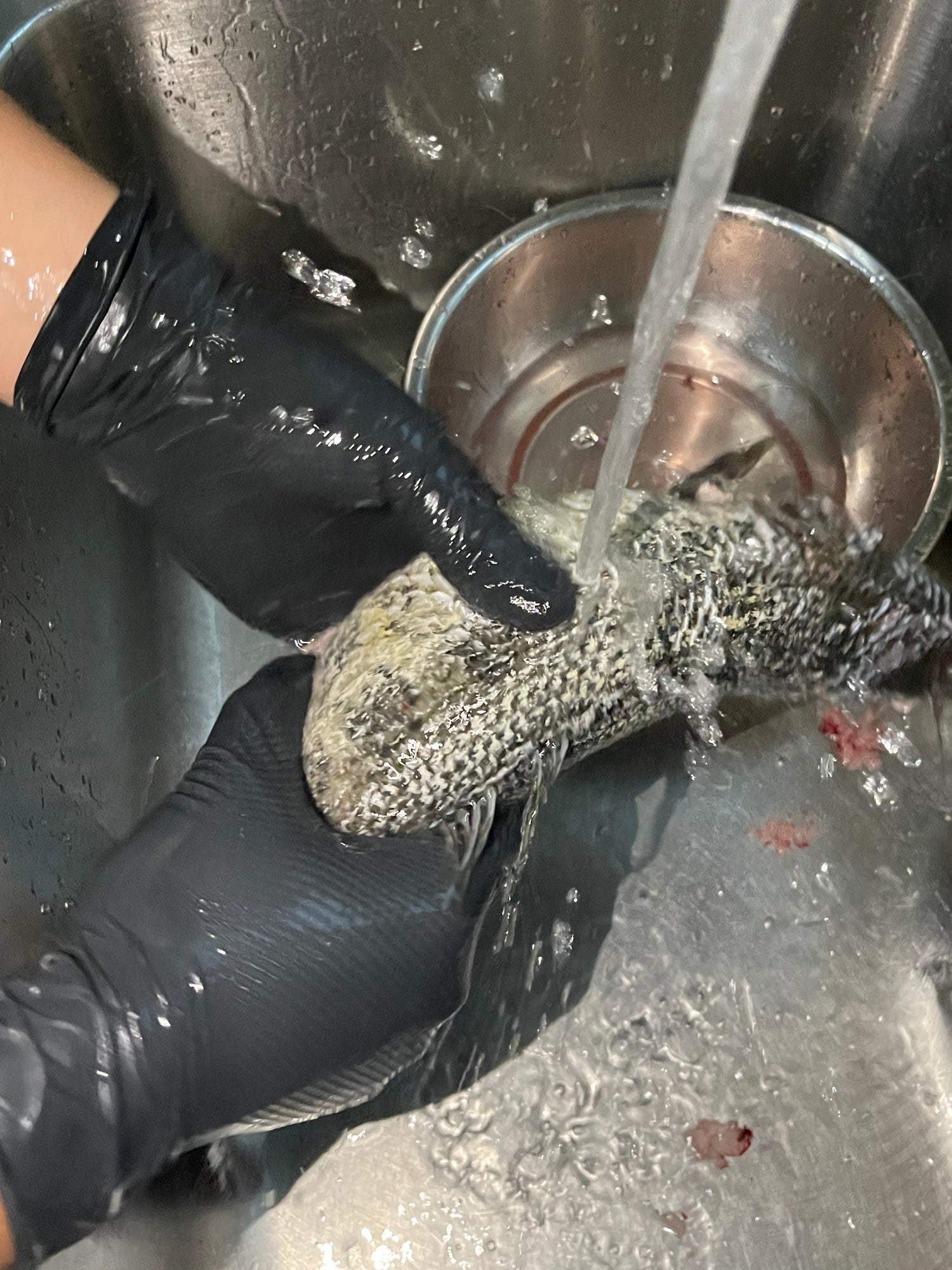Black Nitrile Gloves 101: Why GP GRAFT Delivers Unmatched Style &amp; Safety